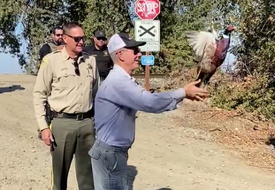 Sheriff Dave Robinson and John Vidovich release pheasants in a Kings County inmate program earlier this year.